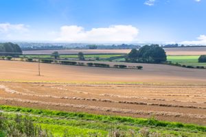 Views- click for photo gallery